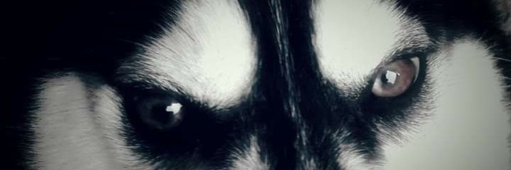 SanchezDavid02's profile banner image
