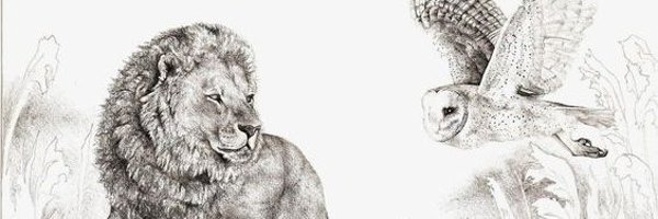olshansky Profile Banner