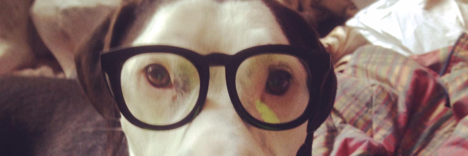 pilot_the_dog's profile banner image