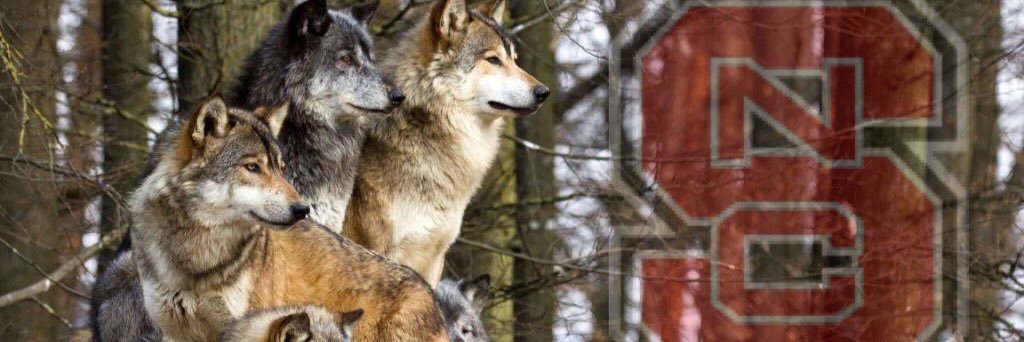 Wolfpack Cards banner