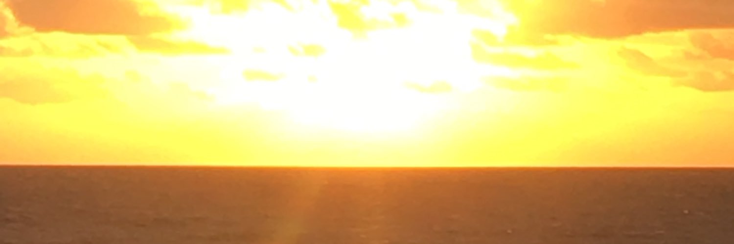 baroni_max's profile banner image