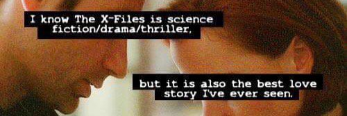 lucy_mil's profile banner image