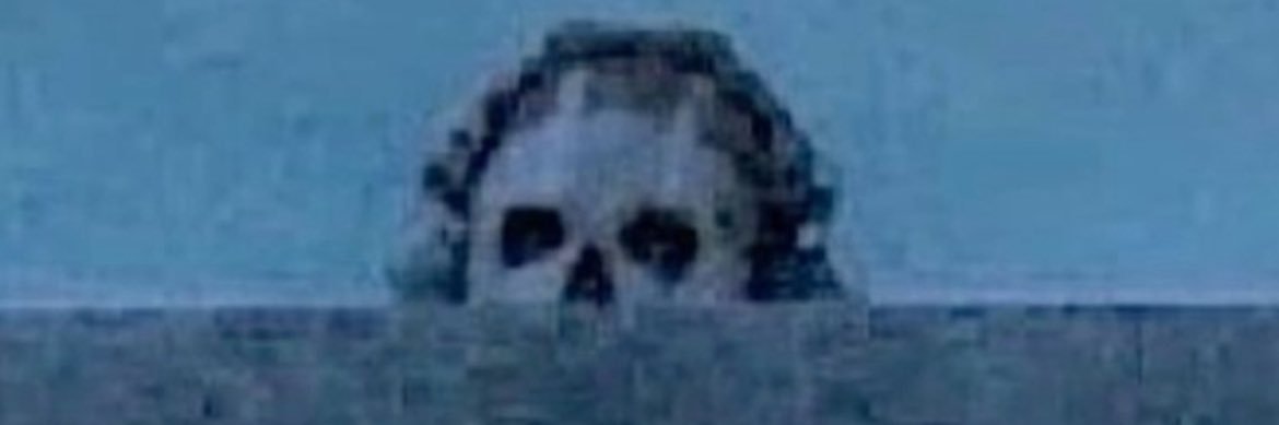 TheShelbutt's profile banner image