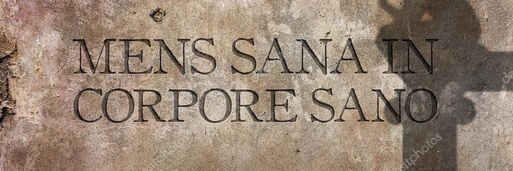 FernandadeOrne1's profile banner image