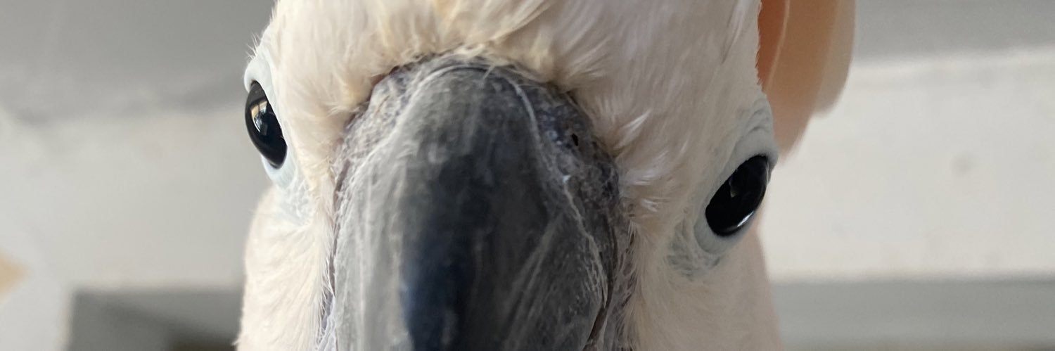 larryragone's profile banner image