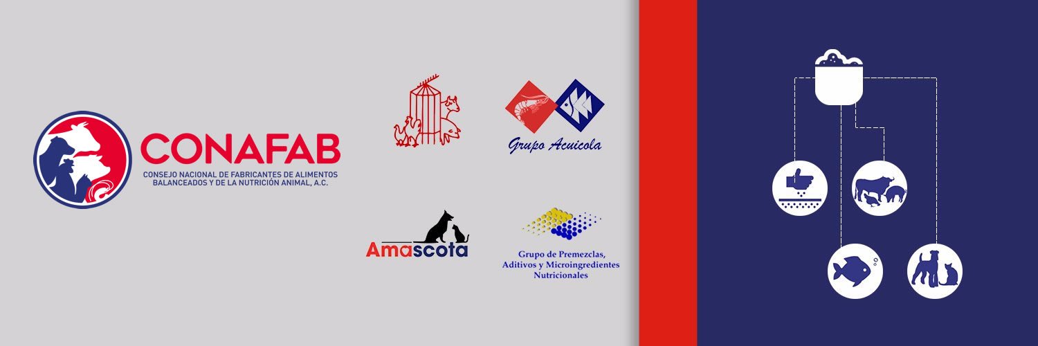 Conafab, A.C. banner