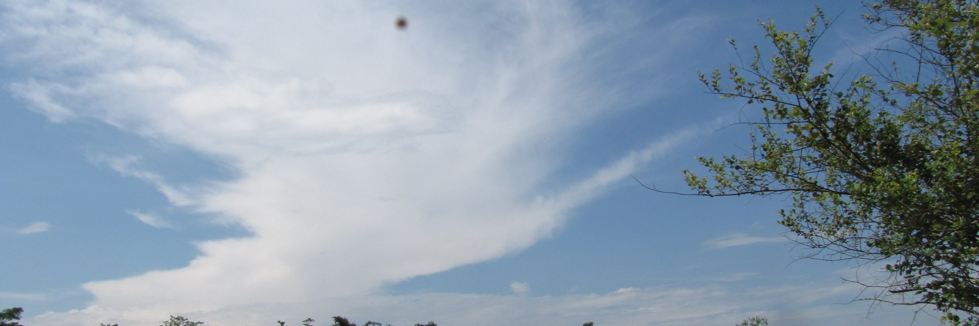 RupanshiMB's profile banner image