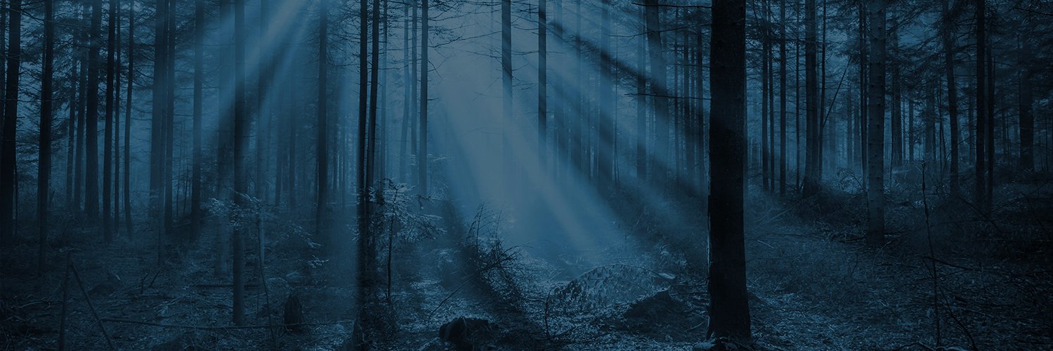 davedelyn's profile banner image