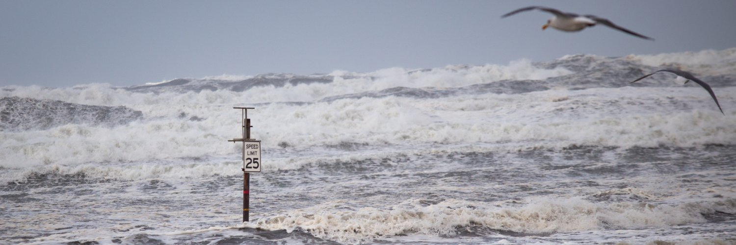 Chinook Observer banner