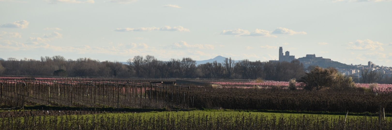 partitocraciaNO's profile banner image