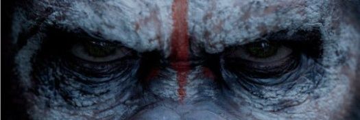 H banner