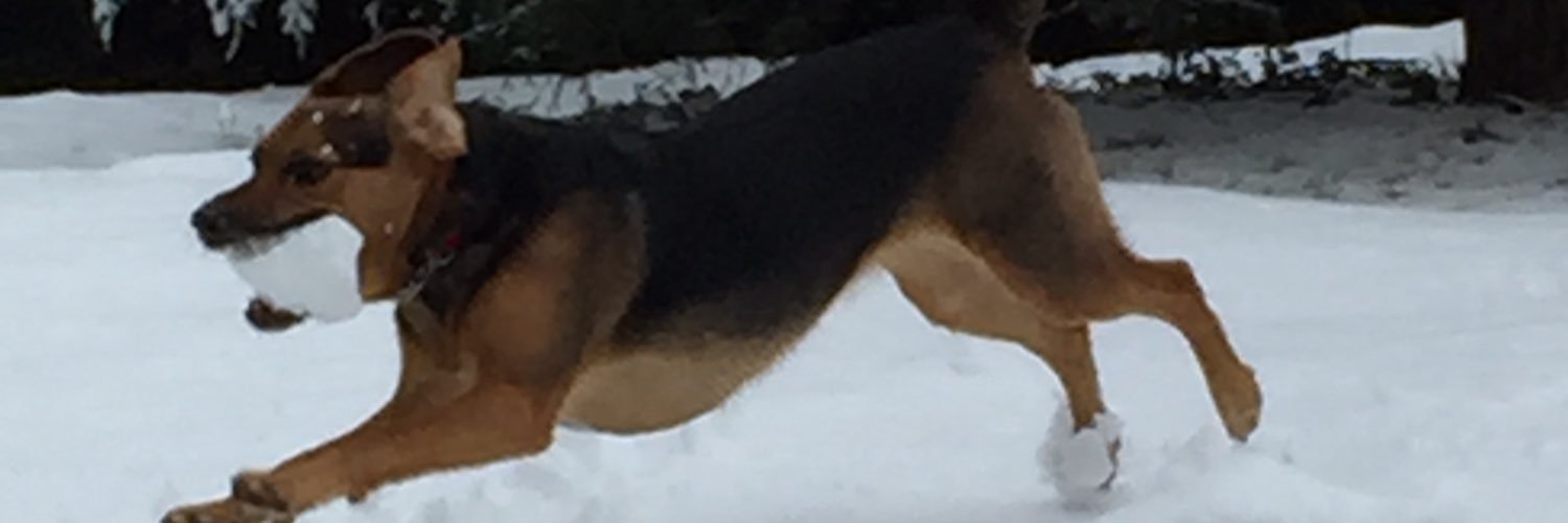 SmrfldNc's profile banner image