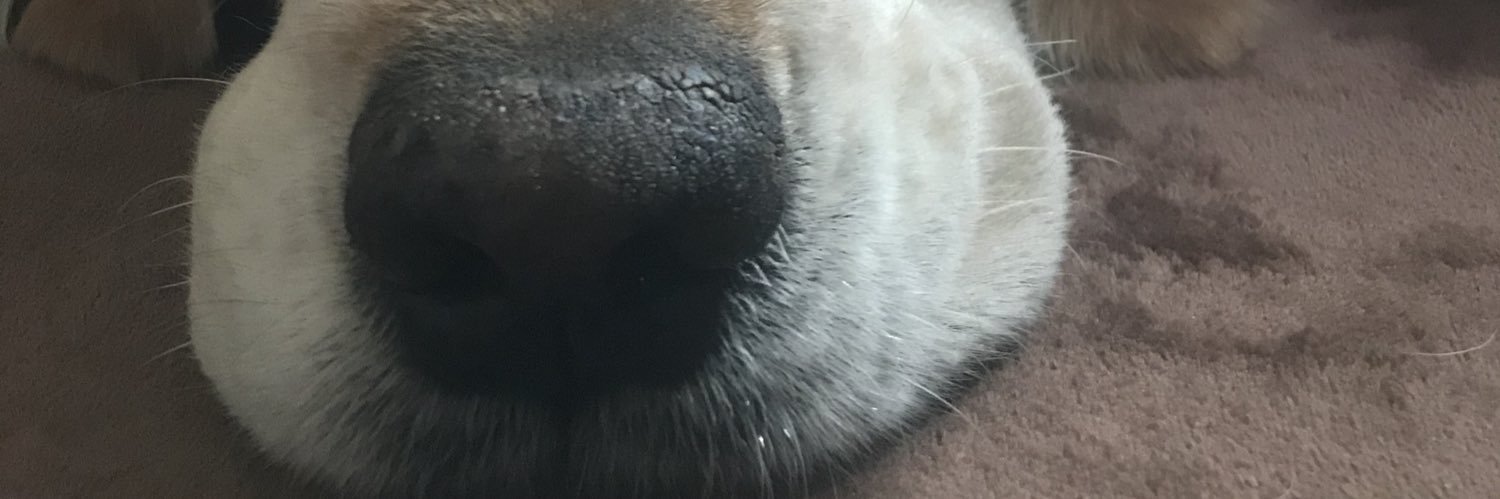 ooooo_abcabcabc's profile banner image