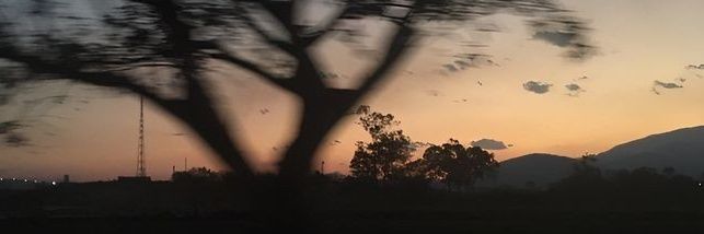leishenki's profile banner image