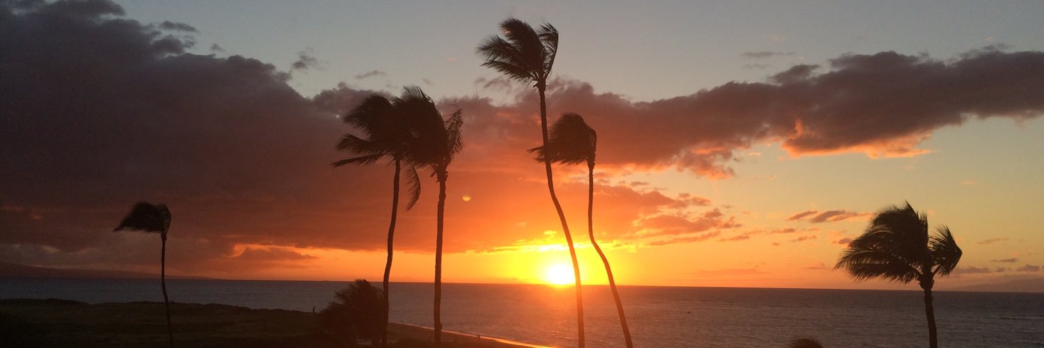 wayneschnitzler's profile banner image