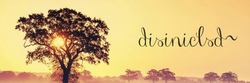 disiniclsd's profile banner image