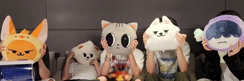 chrysanberries's profile banner image