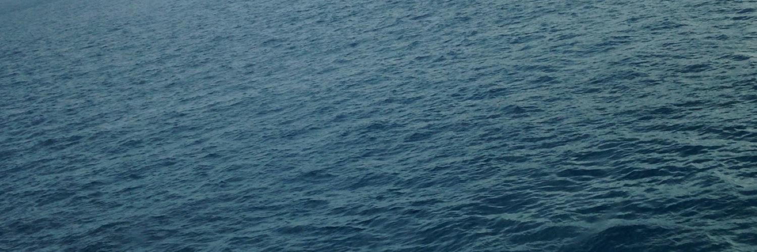 DylanSchmidRP's profile banner image