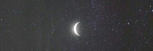 нσρє мιкαєℓѕσи banner