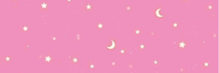Fanniiland's profile banner image