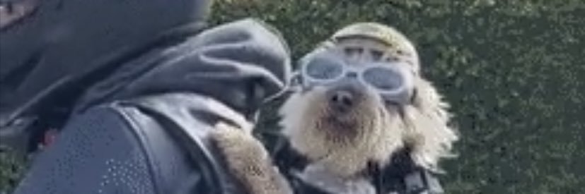 JacobsTwan's profile banner image
