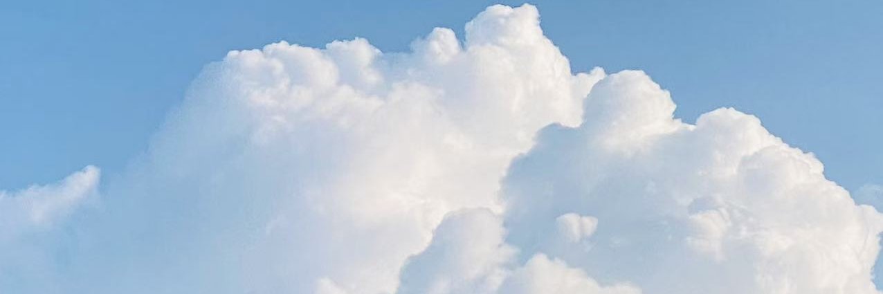 backwallart's profile banner image