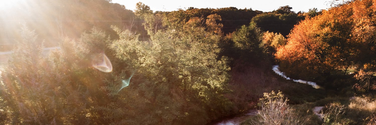 BeckyBoryca's profile banner image