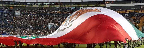 piilloo Profile Banner