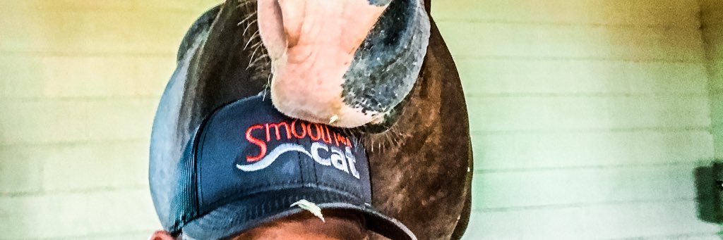 smoothasacat's profile banner image