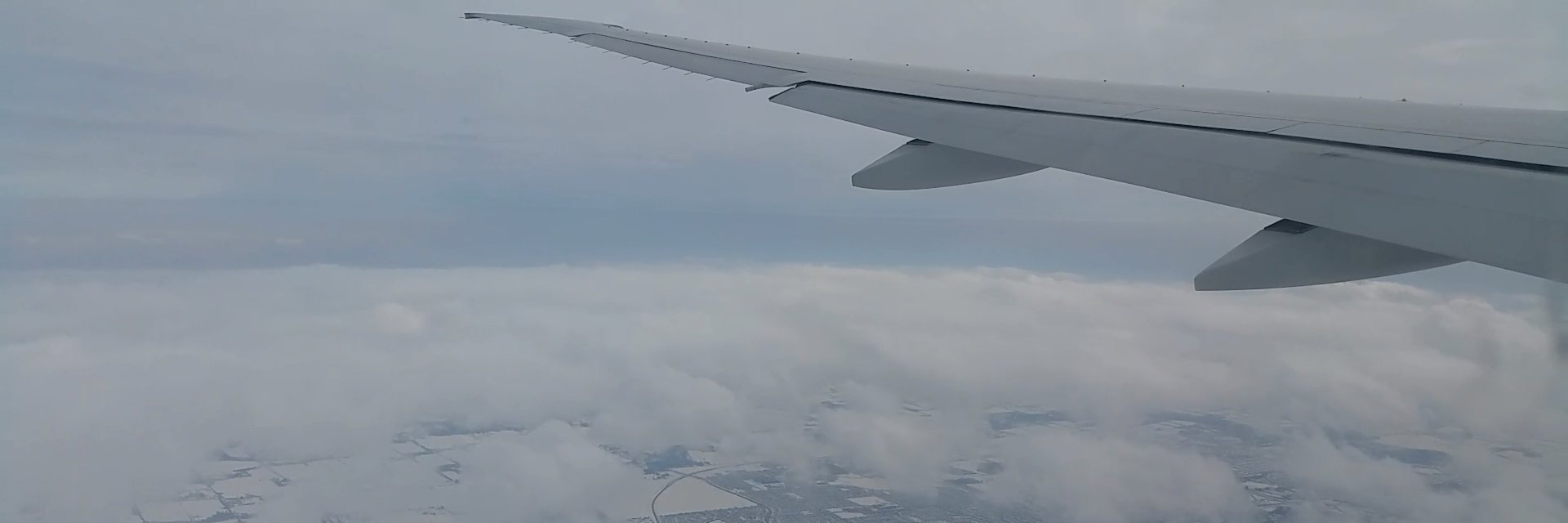 BorneanWingz's profile banner image