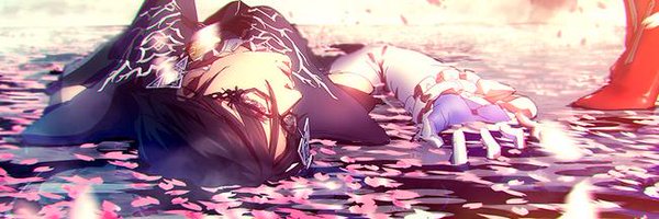 HylianBooty's profile banner image