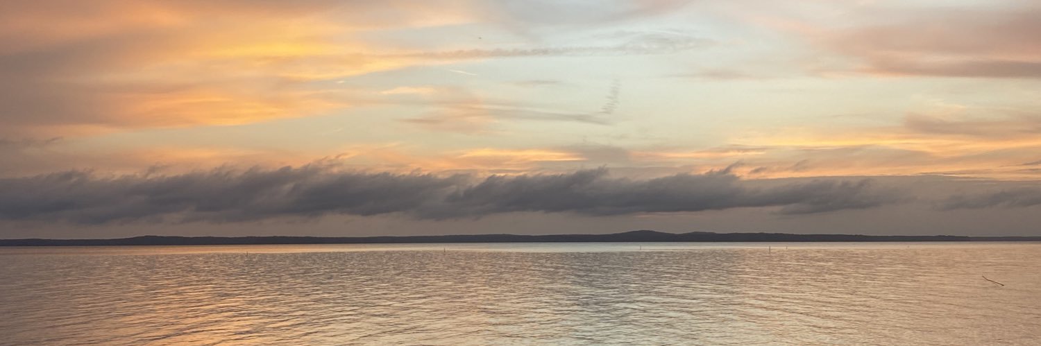 sophieeerr's profile banner image