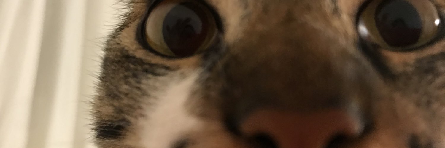 jujuumends_'s profile banner image