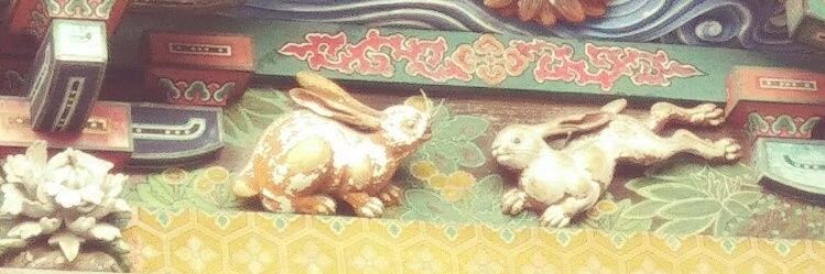Vanp_wolf_moon's profile banner image