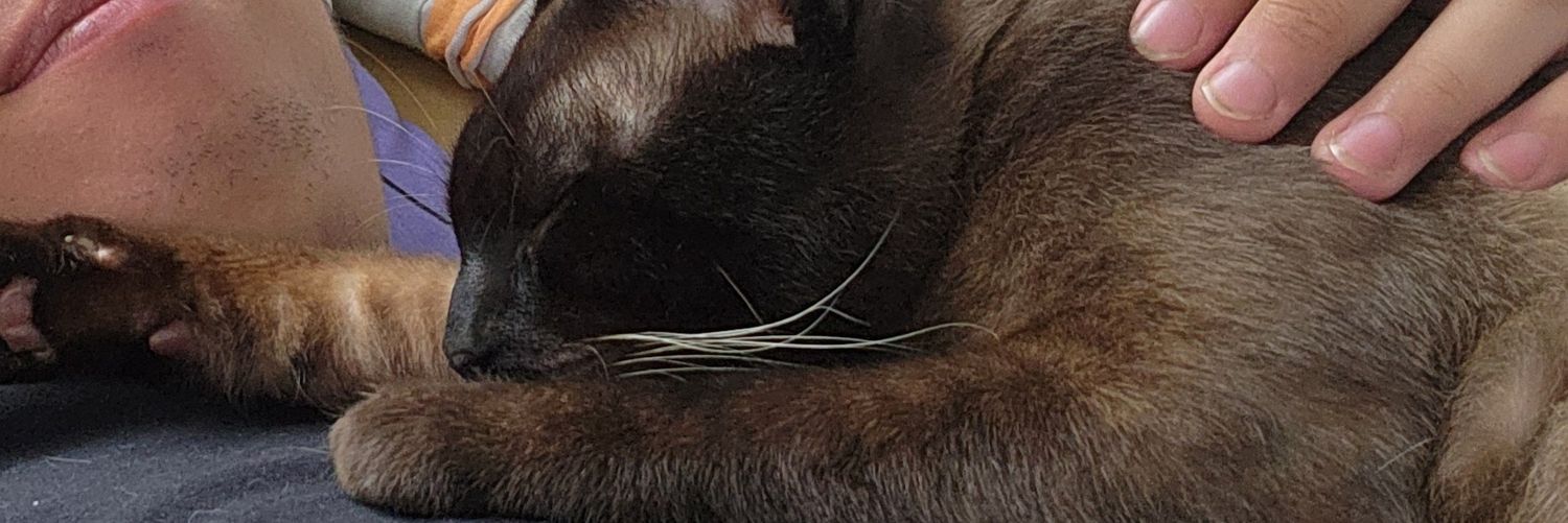 6string6string's profile banner image