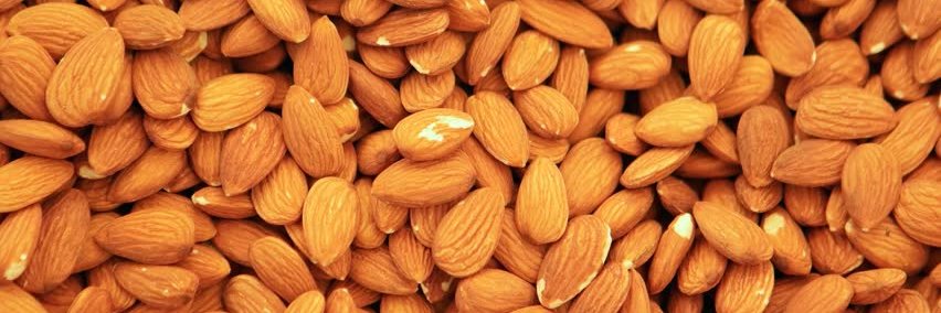 RiobambaNatural's profile banner image