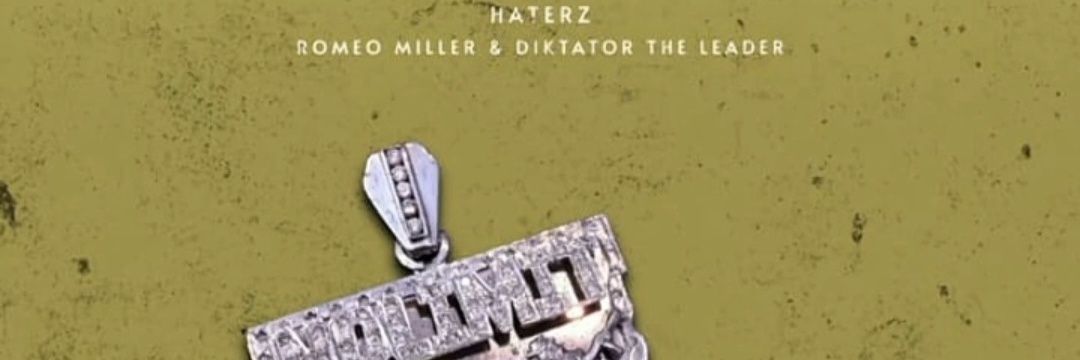 Diktator The Leader banner