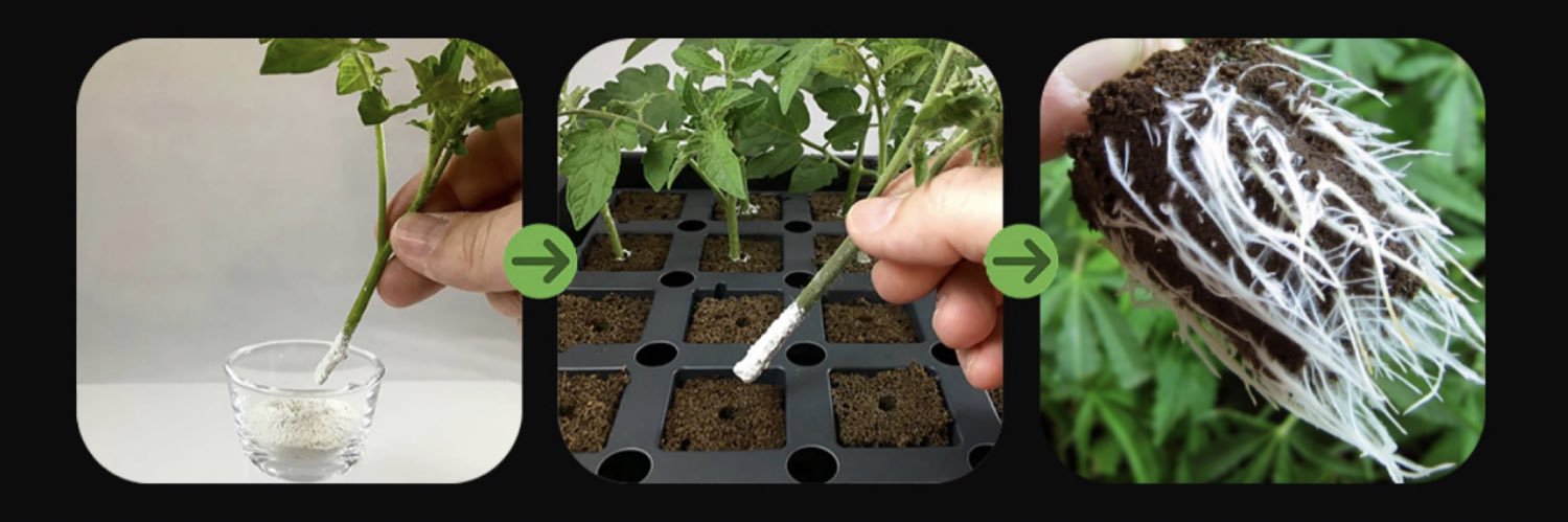 HormexForPlants's profile banner image