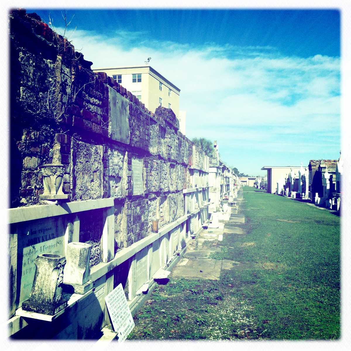 E. Samples ☮️ banner