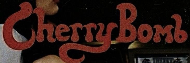 ◡̈ 🇵🇸 banner