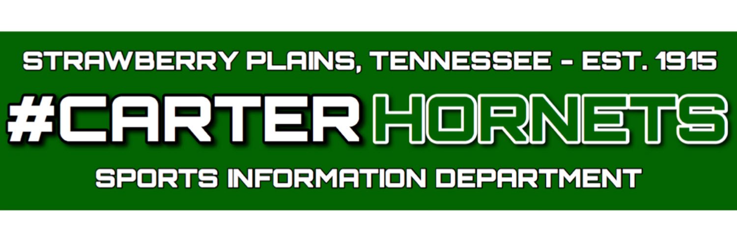 Carter Hornets banner