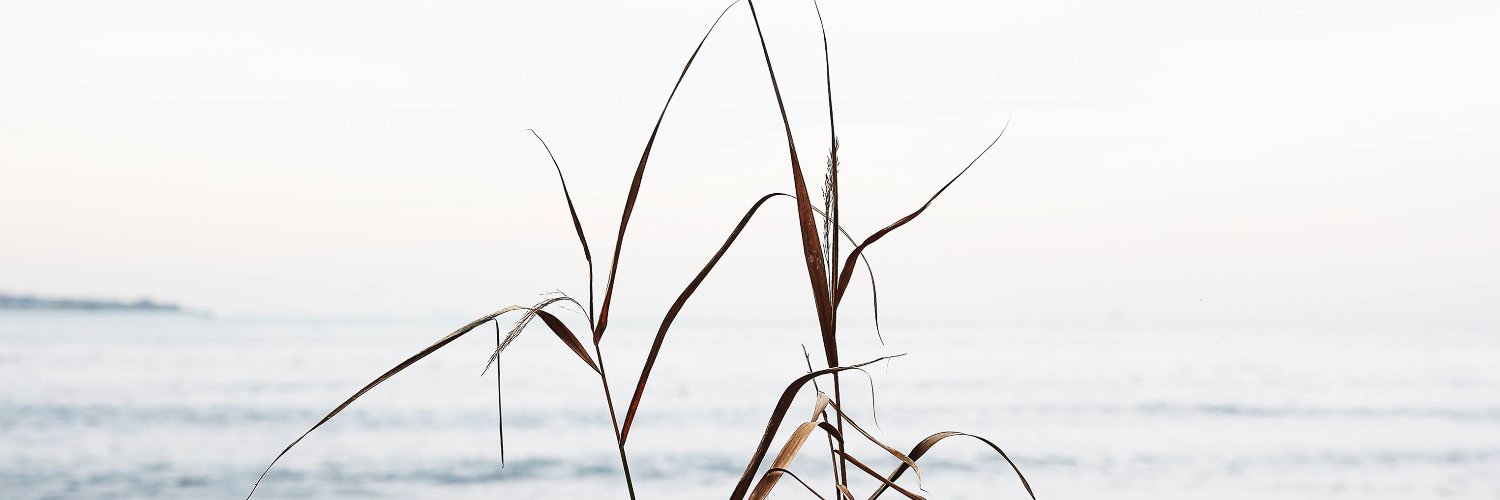 mertyaa's profile banner image