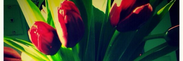 BethHellstedt Profile Banner