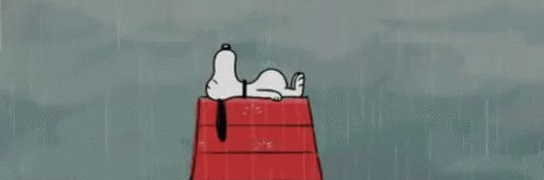 Brandonluy1's profile banner image