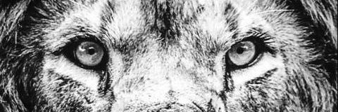 alan_arriaga's profile banner image