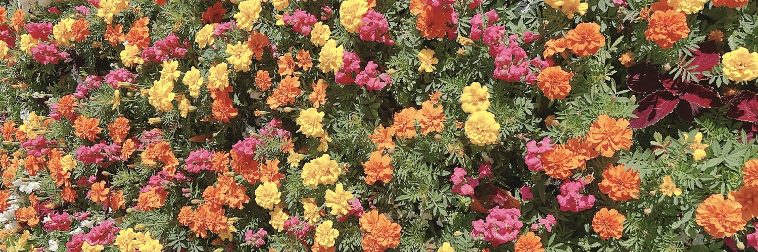 s_k_141's profile banner image