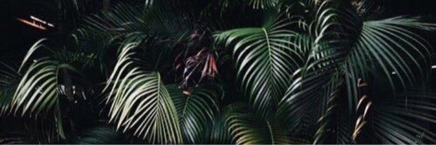 HaleeLiddell's profile banner image