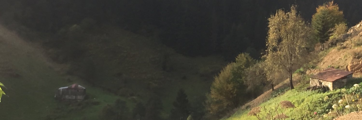 heserenhe's profile banner image
