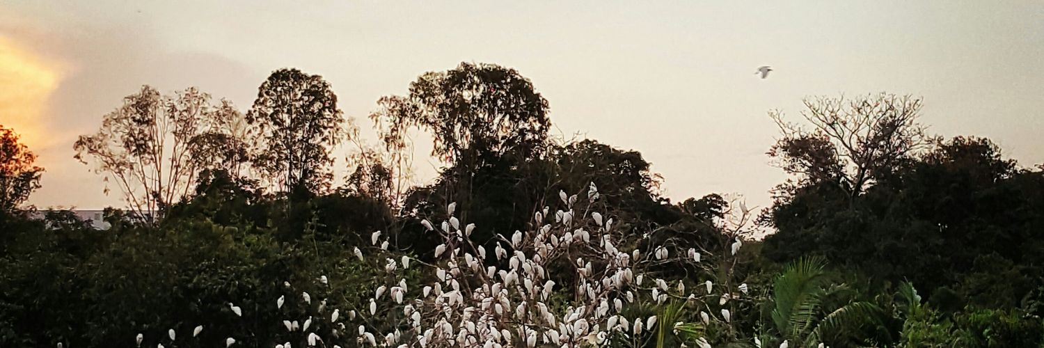JulyM_Rodriguez's profile banner image
