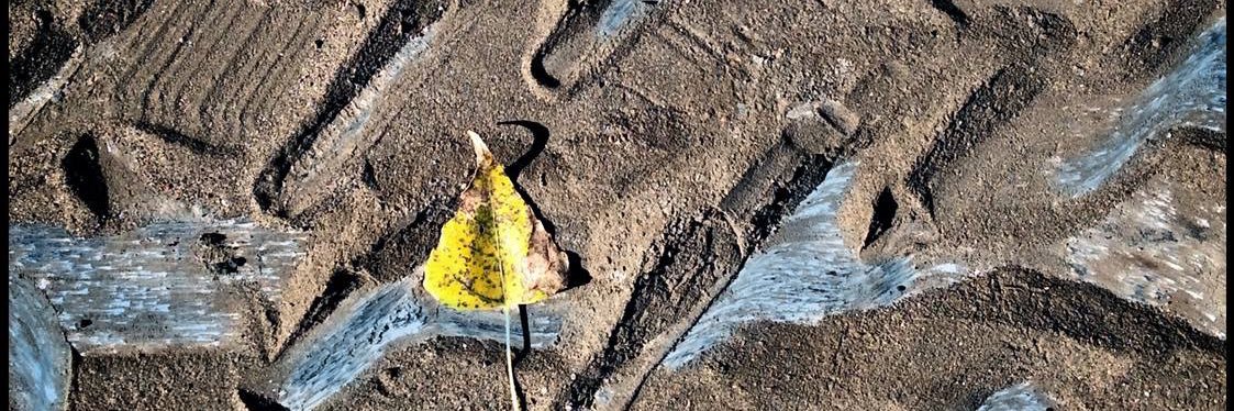 Paul Biddle MBE 🇺🇸 banner